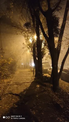 Лого ЦЕНТРАЛЬНОЕ БЮРО БЕЗОПАСНОСТИ И ПРАВОЗАЩИТЫ ООО