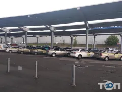 Лого Досааф, автошкола