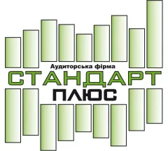 Профіль Стандарт плюс, аудиторська компанія
